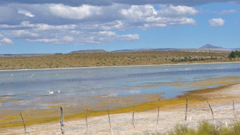 El actual paisaje desolador de La Solitaria: la principal fuente hídrica del valle del Covunco