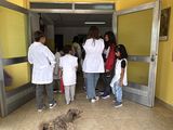 Con el foco en la evaluación