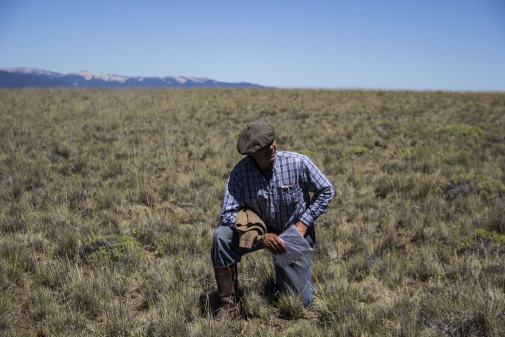  Esos créditos se obtienen a partir de la captura de dióxido de carbono en el suelo a través del manejo. Foto:Ovis 21. Esos créditos se obtienen a partir de la captura de dióxido de carbono en el suelo a través del manejo. Foto:Ovis 21.