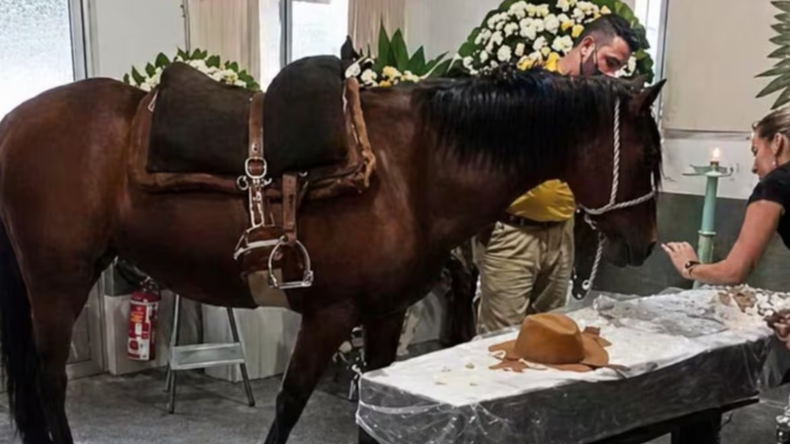 Nina y el tío Pedro: la historia detrás de la yegua que lloró a su dueño en Brasil y se volvió viral | LM Neuquen Nina y el tío Pedro: la historia detrás de la yegua que lloró a su dueño en Brasil y se volvió viral