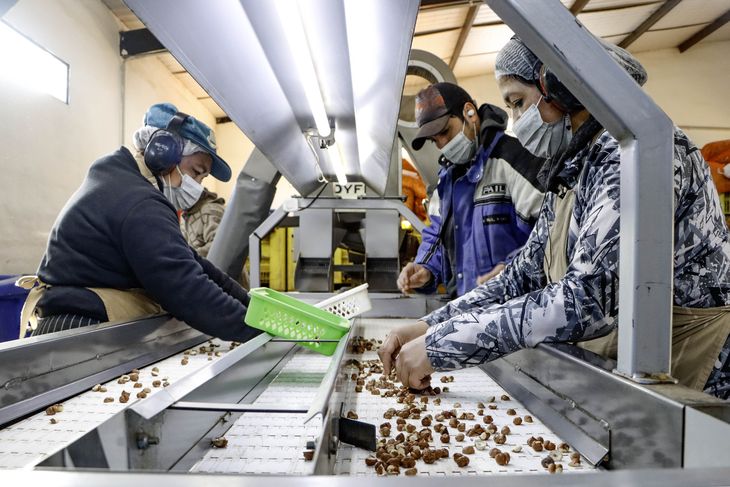 El emprendimiento apuesta al agregado de valor. Foto: Anahí Cárdena El emprendimiento apuesta al agregado de valor. Foto: Anahí Cárdena