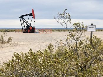 Río Negro declaró la caducidad de las concesiones de President Petroleum este jueves.