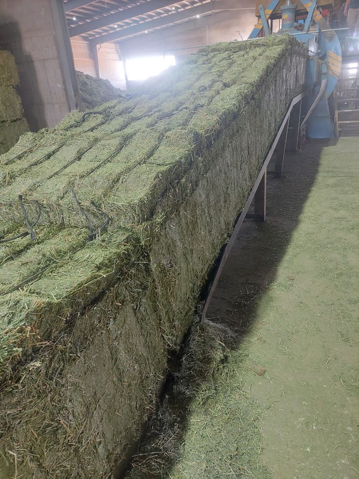 Los fardos deben tener una muy buena calidad para poder se comercializados en el exterior. Los fardos deben tener una muy buena calidad para poder se comercializados en el exterior. 