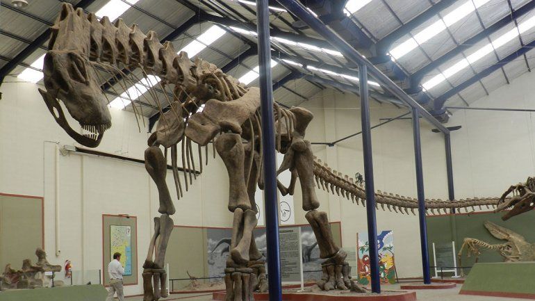 A treinta años del hallazgo del dino gigante de Huincul
