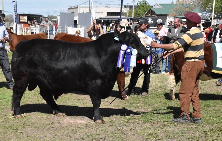 El juez de Río Gallegos aplicó el principio precautorio y priorizó la protección de la zona libre de aftosa sin vacunación frente a la flexibilización impulsada por SENASA.