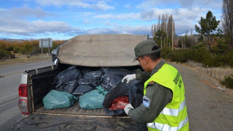 Los atrapan llevando 300 kilos de carne de ciervo y jabalí sin permisos