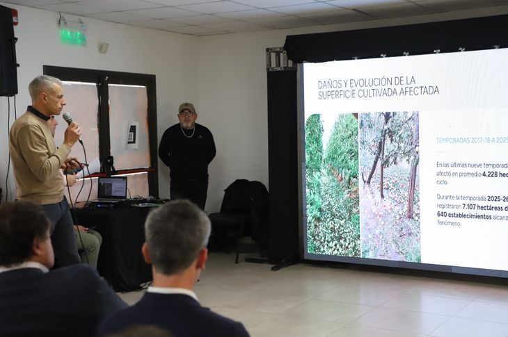 Autoridades provinciales y del CFI detallaron los alcances de los cr&eacute;ditos destinados a la instalaci&oacute;n de mallas antigranizo.
