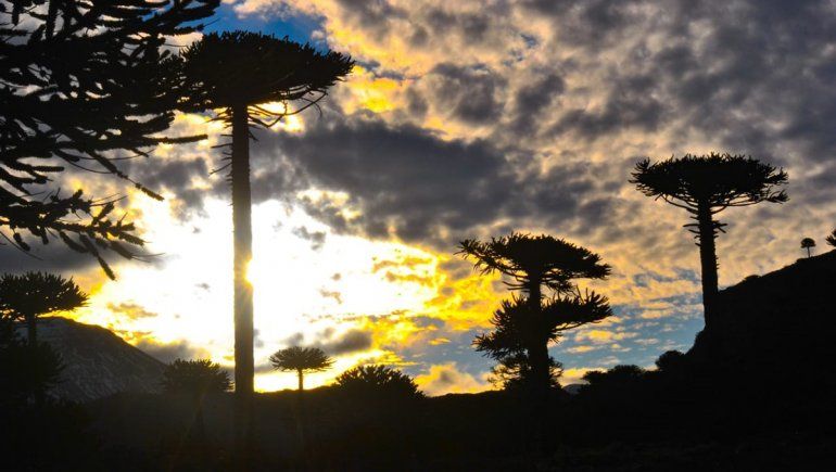 Caviahue se viste de primavera a la espera del turismo