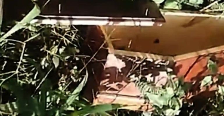 Impactante hallazgo de un ataúd de bebé abandonado cerca de una escuela