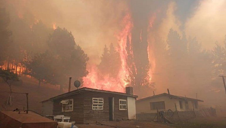 En imágenes: la desolación y el drama de los incendios