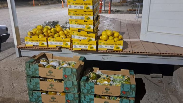 Barrera sanitaria en peligro: decomisaron frutas exóticas y huevos de codorniz