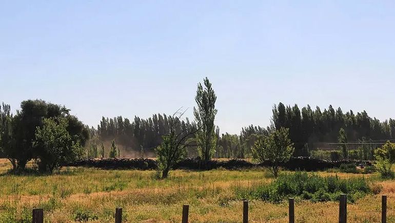 La UNCo alerta sobre avance de las casas sobre las chacras