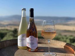 espana ya tiene mas de 4.000 empresas que exportan sus vinos espana ya tiene mas de 4.000 empresas que exportan sus vinos