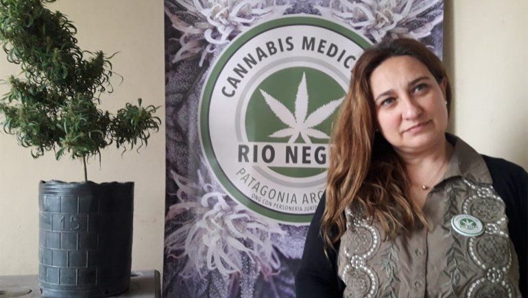 Cannabis Medicinal: Queremos dejar de ser ilegales para el Estado
