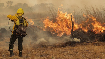 santi maratea junto millones para los incendios en corrientes santi maratea junto millones para los incendios en corrientes