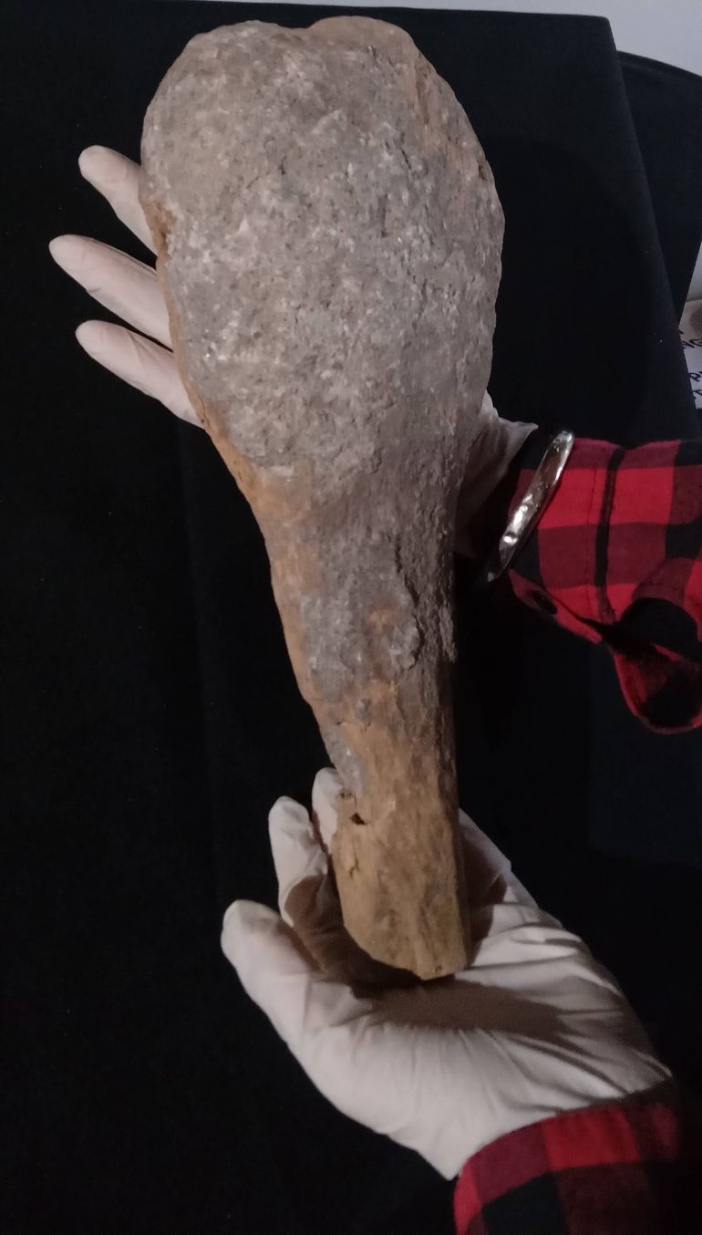 Piedras de la mina. Foto Museo Gregorio Álvarez. Piedras de la mina. Foto Museo Gregorio Álvarez.