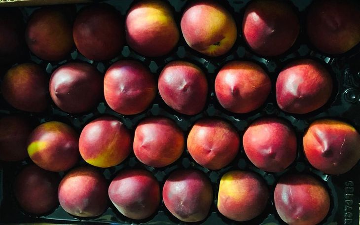 Chile esta creciendo con fuerza en sus exportaciones de carozos, y China es uno de los grandes destinos. Chile esta creciendo con fuerza en sus exportaciones de carozos, y China es uno de los grandes destinos.