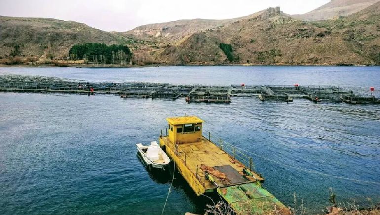 La empresa Salmon Trout opera en la cuenca del río Limay.