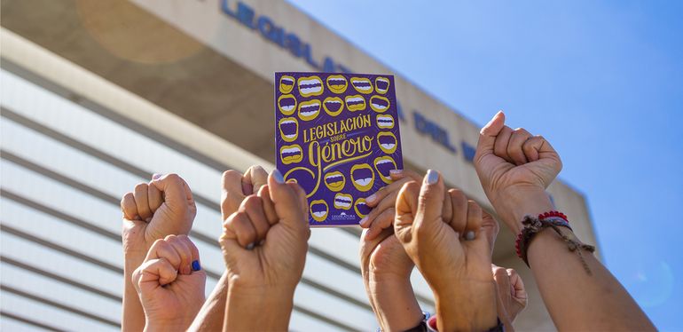 Leyes neuquinas para la igualdad de género: una evolución histórica