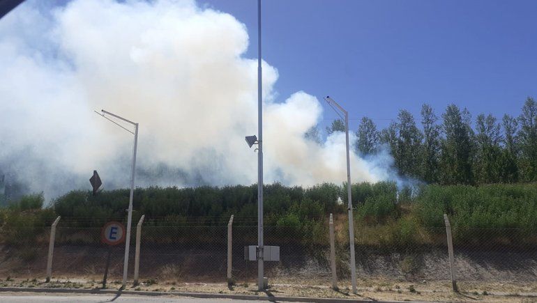 Puente carretero: incendio de pastizales alertó a los automovilistas