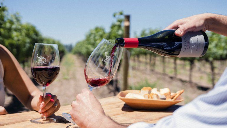 Dos personas disfrutan de una copa de Saurus Pinot Noir Select juntos los viñedos de la Bodega Familia Schroeder.