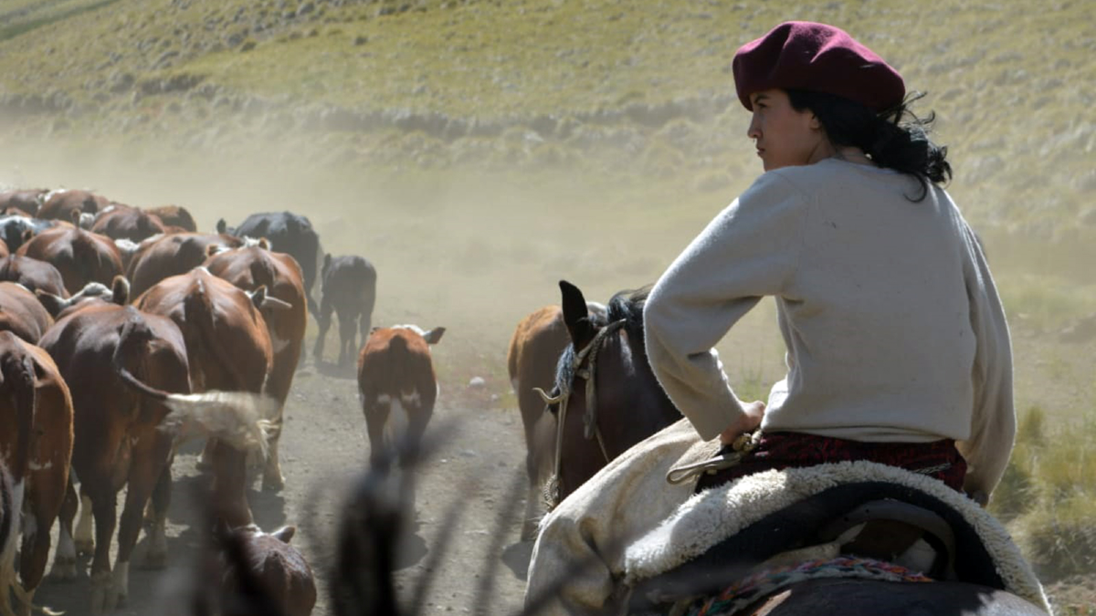 La trashumancia documentada en primera persona