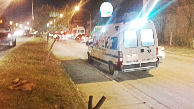 Una mujer herida tras chocar contra un perro sobre la Ruta 22