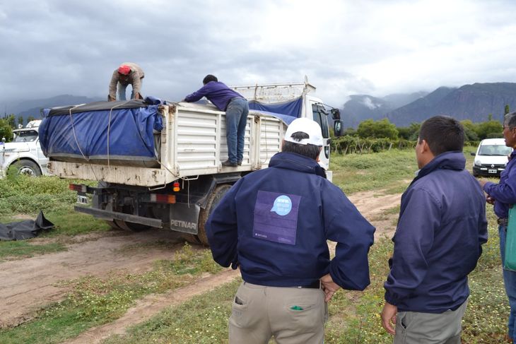 Una de las prácticas fundamentales es realizar la cosecha de forma completa. Foto: Senasa Una de las prácticas fundamentales es realizar la cosecha de forma completa. Foto: Senasa
