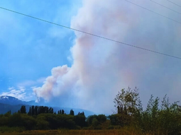 Recomendaciones agroforestales para recuperar los suelos patagónicos. Foto: INTA Recomendaciones agroforestales para recuperar los suelos patagónicos. Foto: INTA