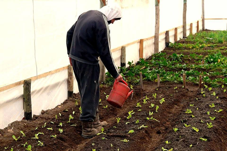 La producción agroecológica y biodinámica, la clave de Janus. Foto: gentileza.