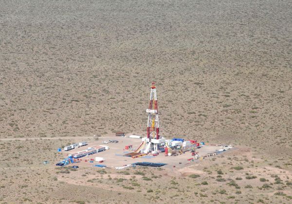 Más reservas para la vaca viva