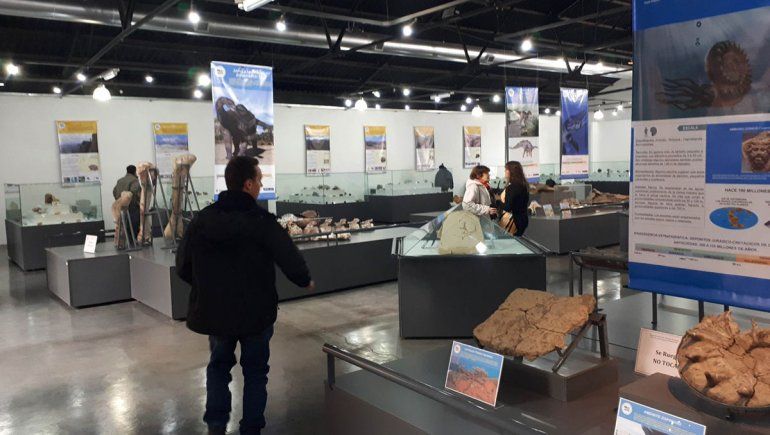El museo de Zapala sumó 15.000 piezas paleontológicas