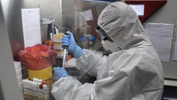 revolucionaria terapia contra el lupus revolucionaria terapia contra el lupus