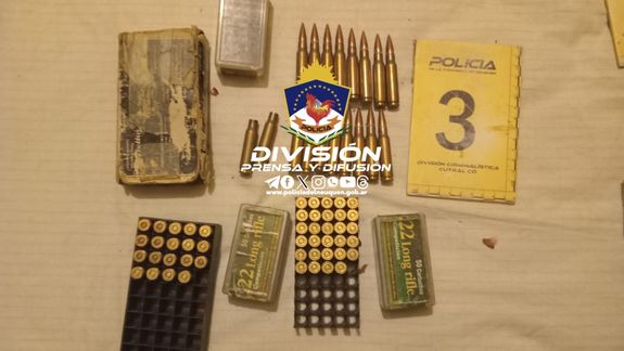 Detuvieron a un violento