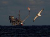 Imagen de archivo de una gaviota volando frente a una plataforma petrolera en el Campo Bouri, a unas 70 millas náuticas al norte de la costa de Libia. La OPEP produjo más en noviembre.&nbsp;