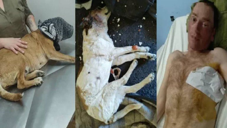 Conflicto entre inquilinos: le perforaron un pulmón y mataron a su perro
