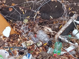 Hasta cráneos de animales muertos encontraron en el canal. 