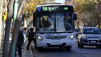 Las primeras horas del nuevo sistema de Transporte Urbano de Cipolletti, marcó una amplia aceptación. | LM Neuquen Las primeras horas del nuevo sistema de Transporte Urbano de Cipolletti, marcó una amplia aceptación.