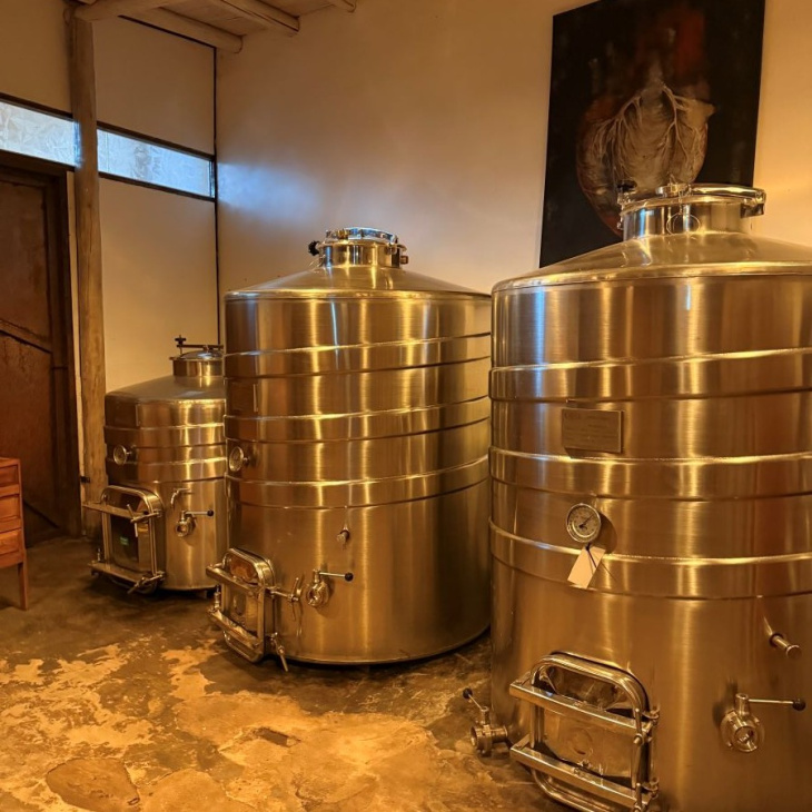 Las levaduras nativas definen la identidad única de cada vino según su origen territorial. Las levaduras nativas definen la identidad única de cada vino según su origen territorial.