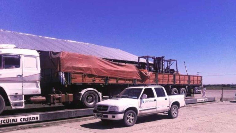 El camión y el cargamento irregular fueron secuestrados en un control del Senasa. Foto: Gentileza.