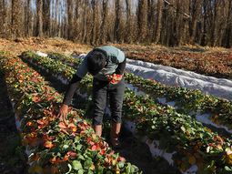 lanzan capacitacion clave en plottier para emprendedores lanzan capacitacion clave en plottier para emprendedores