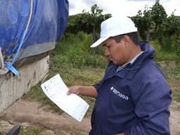 El Senasa difunde medidas de resguardo y prácticas culturales. Foto: Senasa. El Senasa difunde medidas de resguardo y prácticas culturales. Foto: Senasa.