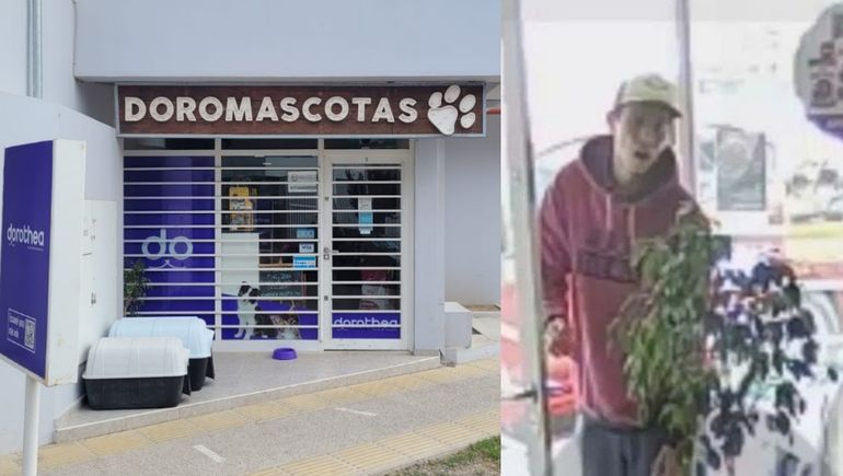 Terrazas del Neuquén: ladrón entró a robar en una veterinaria y quedó escrachado por las cámaras