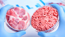 comer carne artificial para achicar emisiones de co2