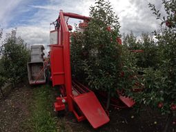 conoce la nueva cosechadora de manzanas que actua por agitacion conoce la nueva cosechadora de manzanas que actua por agitacion