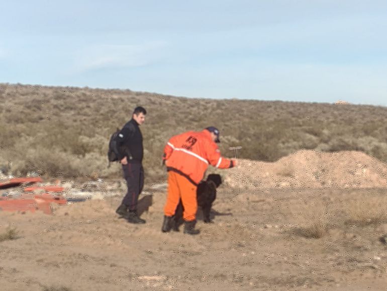 La búsqueda de Luciana Muñoz en medio de la meseta también se realiza con perros entrenados. La búsqueda de Luciana Muñoz en medio de la meseta también se realiza con perros entrenados.
