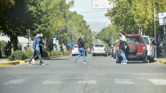 El viento tiró árboles y postes: la ráfaga más fuerte llegó a 74 km/h