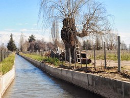 “Estos canales, mayormente destinados al riego de cultivos y viñedos, podrían utilizarse para abastecer la demanda energética de bodegas, fincas, y las viviendas cercanas, e incluso conectarse al sistema interconectado nacional”, explica Grioni. “Estos canales, mayormente destinados al riego de cultivos y viñedos, podrían utilizarse para abastecer la demanda energética de bodegas, fincas, y las viviendas cercanas, e incluso conectarse al sistema interconectado nacional”, explica Grioni.