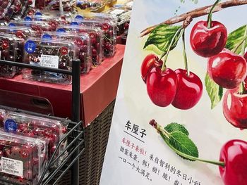 Altos volúmenes, caída de precios y mayor exigencia del comprador chino redefinen el negocio de la cereza. Altos volúmenes, caída de precios y mayor exigencia del comprador chino redefinen el negocio de la cereza.