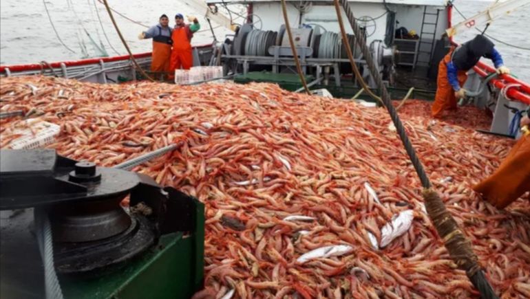 En lo que va de la temporada, sólo un barco de la flota salió a pescar langostino en aguas nacionales (foto de archivo).